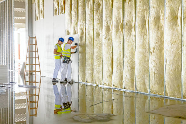 Garage Insulation Installation in Rock Springs, WY